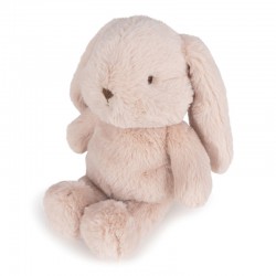 Bon Ton Toys