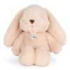 Bon Ton Toys