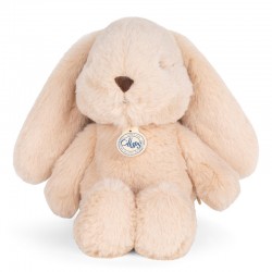 Bon Ton Toys