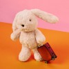 Bon Ton Toys