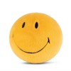 Smiley