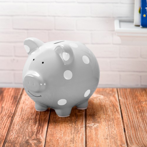 Pearhead Piggy Bank - Grey