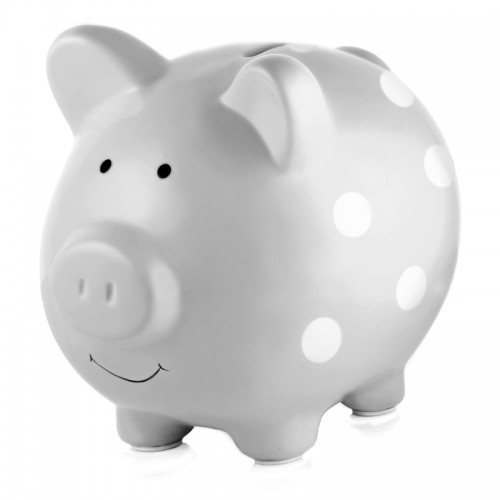 Pearhead Piggy Bank - Grey
