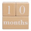 Pearhead Milestone Blocks - Grey