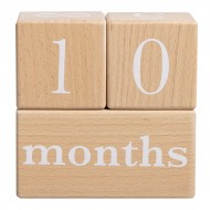 Pearhead Milestone Blocks - Grey