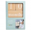 Pearhead Milestone Blocks - Grey