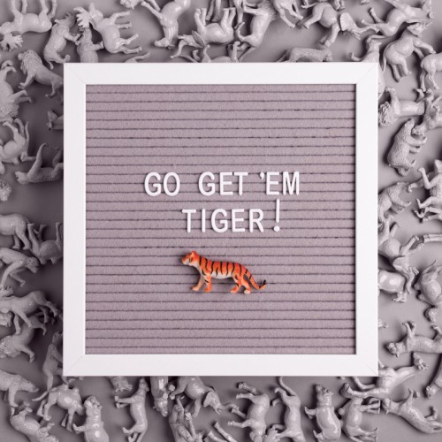 Pearhead Letterboard Set - Grey