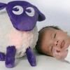 Sweet Dreamers Ewan Baby Sleep Soother Classic - Purple