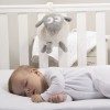 Sweet Dreamers Ewan Baby Sleep Soother Classic - Grey