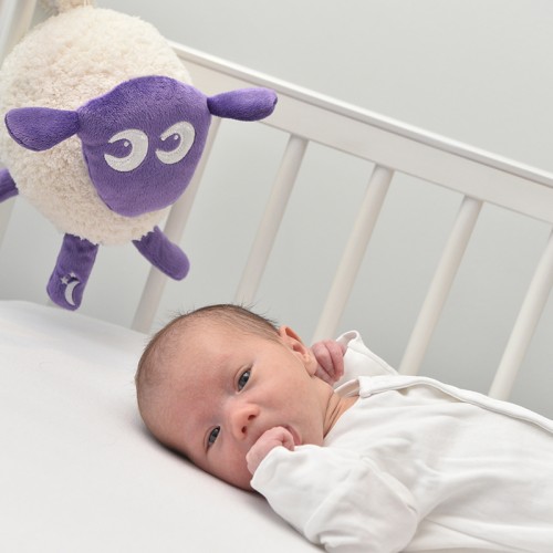 Sweet Dreamers Ewan Deluxe Baby Sleep Soother - Purple
