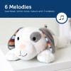 ZAZU Plush & Sound Machine - Dex the Dog