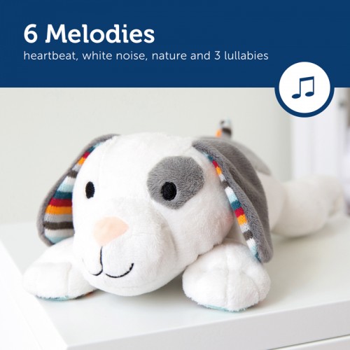 ZAZU Plush & Sound Machine - Dex the Dog