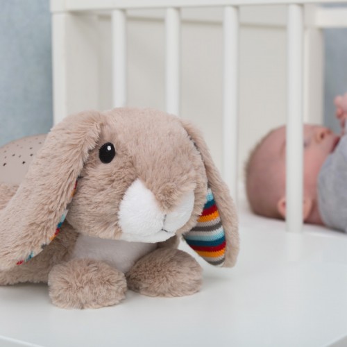 ZAZU Projector Ruby the Bunny