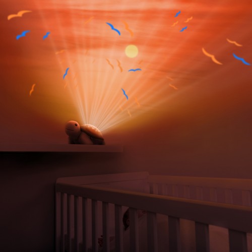 ZAZU Projector Tim the Turtle