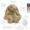 ZAZU Deluxe Nightlight with Sound Machine & Voice Recording - Ro the Rabbit