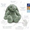 ZAZU Deluxe Nightlight with Sound Machine & Voice Recording - Ro the Rabbit - Green