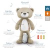 ZAZU Sleeptrainer with Nightlight & Sound Machine Brody the Bear - Taupe