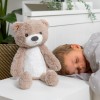 ZAZU Sleeptrainer with Nightlight & Sound Machine Brody the Bear - Taupe